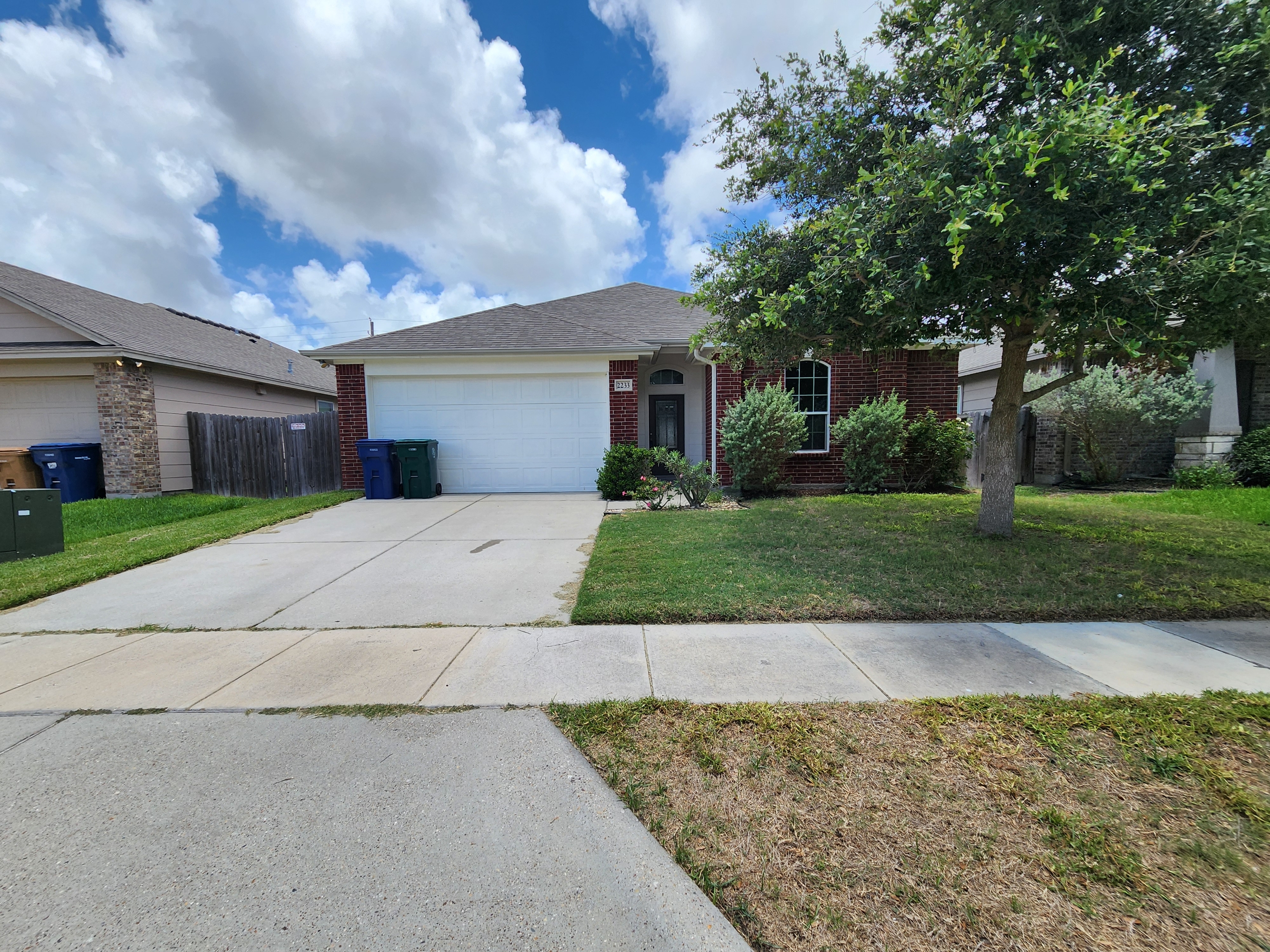 2233 Ibis Street
